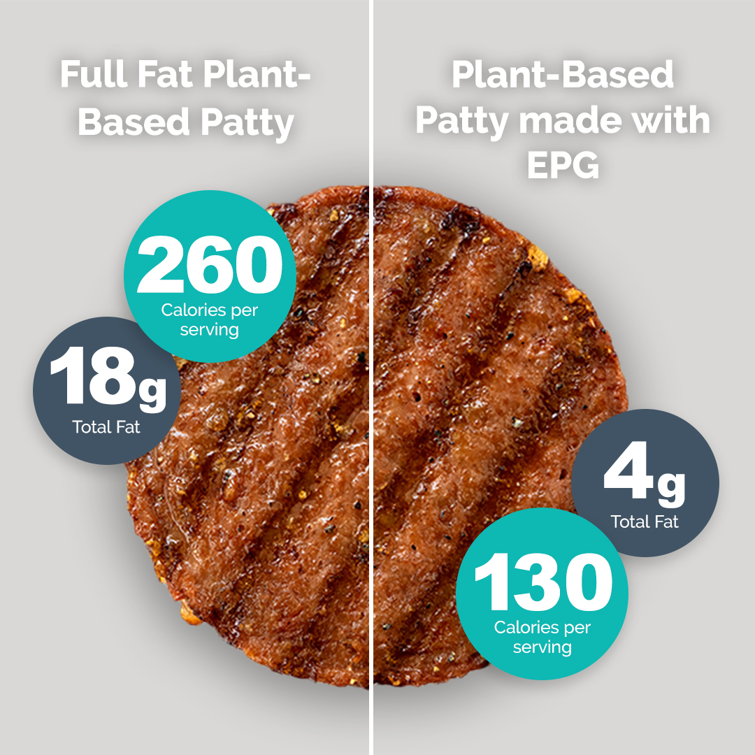 plant based burger infographic